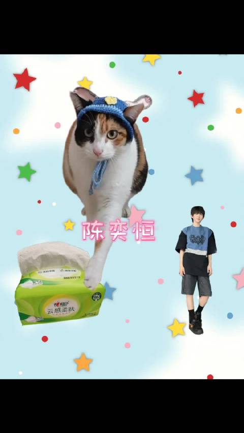 小猫怎么不知道这么萌的哼儿啊 ࡇ .ᐟ.ᐟ