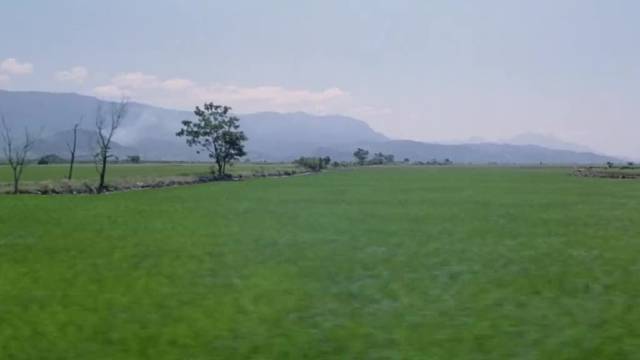 这部电影被誉为台湾版活着，讲述国军败退台湾后，将军变成平民的生活