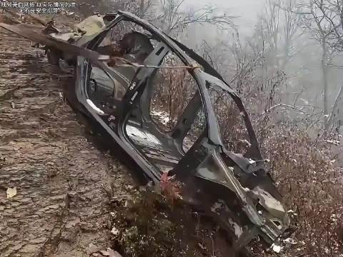 特斯拉model Y坠落800悬崖，车主竟然毫发无损…#特斯拉