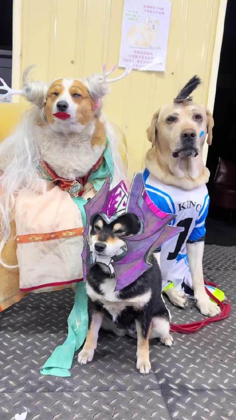 zizi上号啊~~~有麦！这马可差点意思 动不动就回城