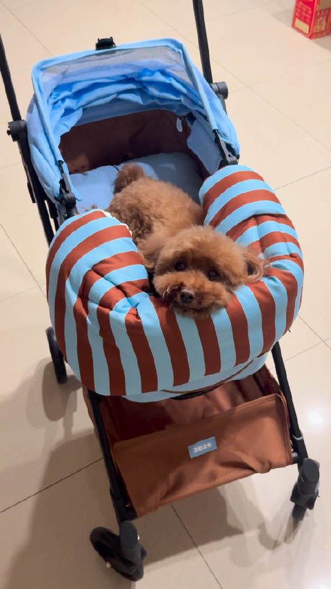 今日大事：cofe提新车