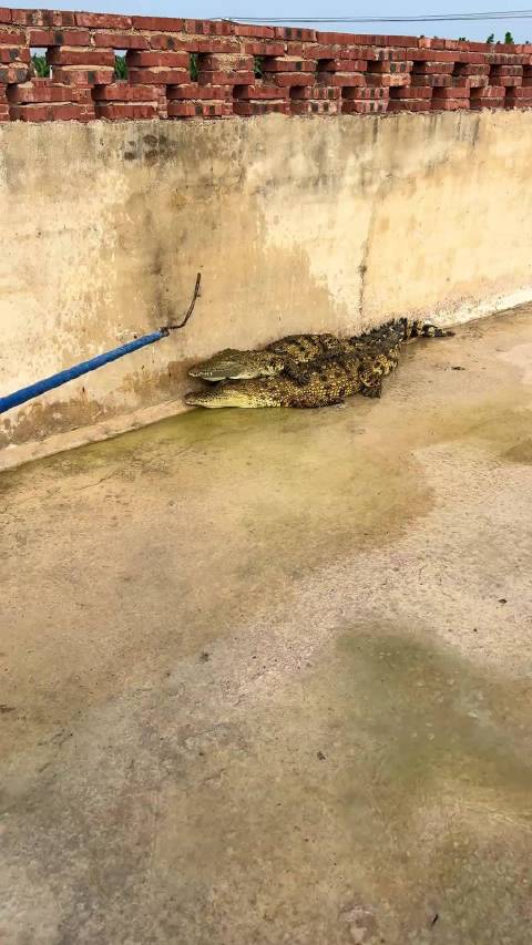 新能源车充电时勾坏皮鞋引车主担忧