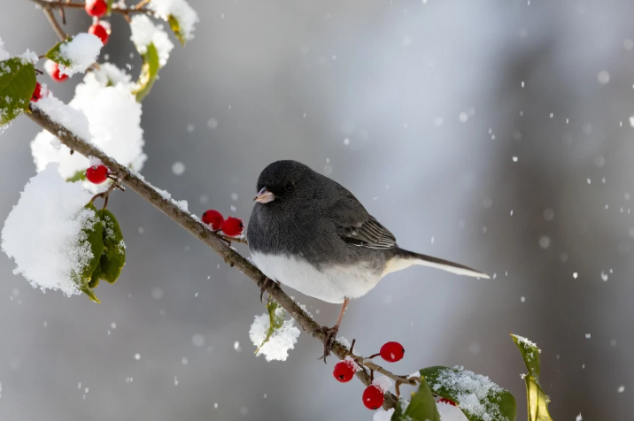 新年第二天，市场传来3大消息！