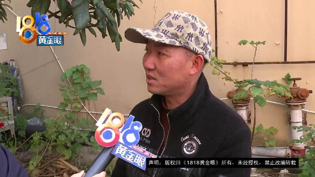 2025年买2023年的车 库存车买来两月跳出感叹号乌龟灯