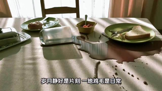 杨绛先生谈人生感悟：岁月静好是片刻，一地鸡毛是日常