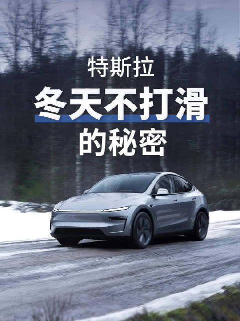 特斯拉四轮独立控制搭配低重心设计，冰雪路面稳抓地