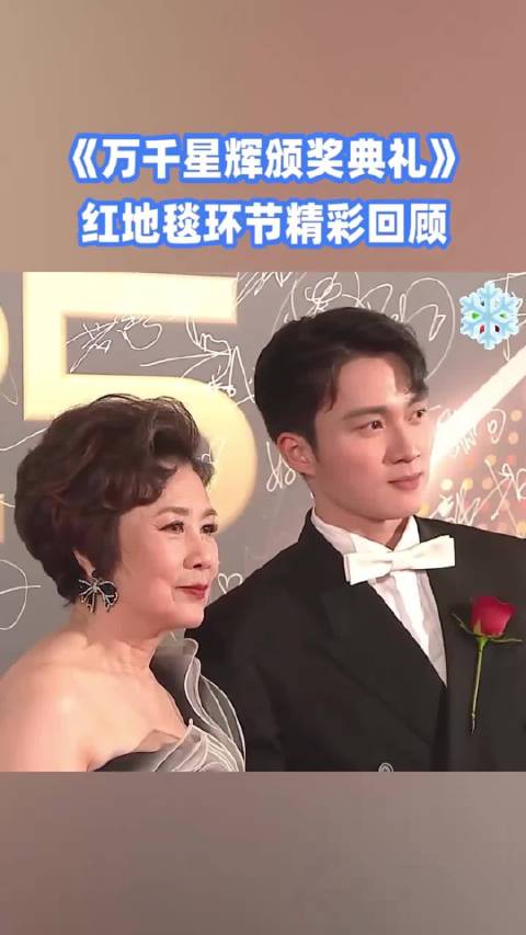 万千星辉颁奖典礼2025 2025TVB颁奖礼 红毯 秀