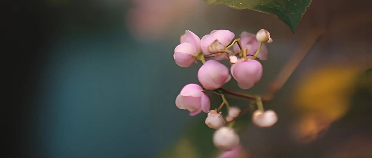 《活着》：一个女人最宝贵的财富，不是家世有多殷实，不是才华有多出众，也不是老公有多爱她，而是这两个字