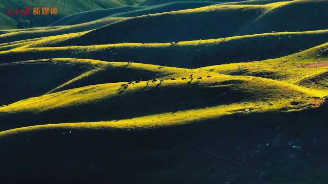 周深献唱人民日报新年主题曲《奔腾》MV发布