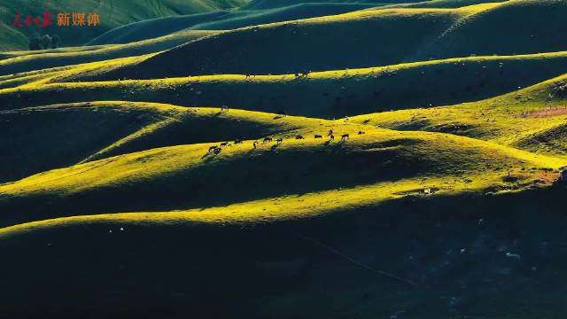 周深新年首支新歌