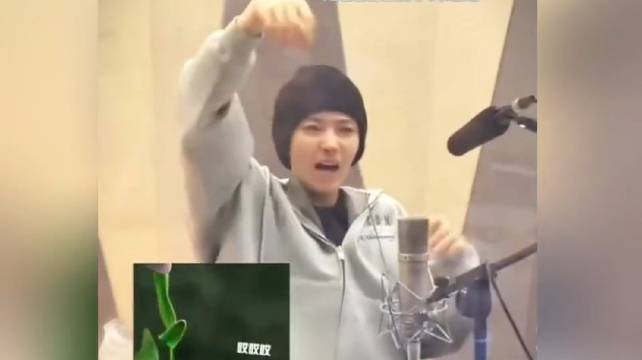 侯明昊配音花絮曝光，小叶子萌态引热议