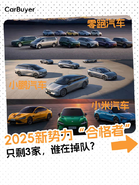蔚小理仅一家达标？2025新势力“合格者”只剩3家，谁在掉队？