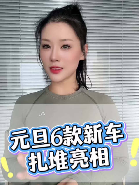 元旦6款新车扎堆亮相，覆盖新能源、皮卡与豪华SUV