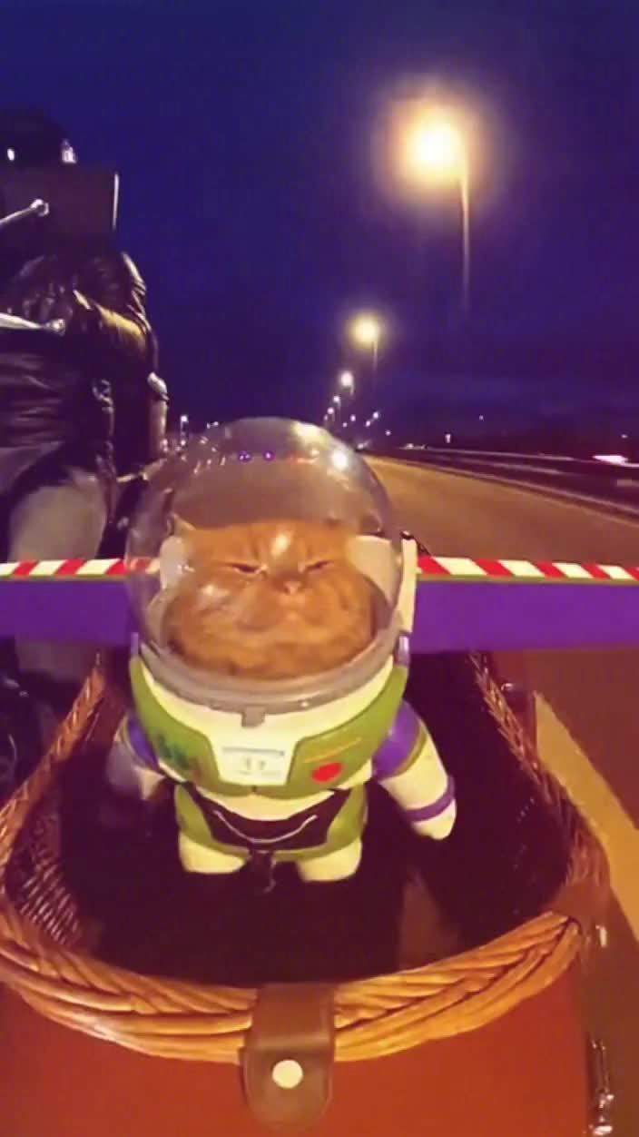 猫猫cos巴斯光年