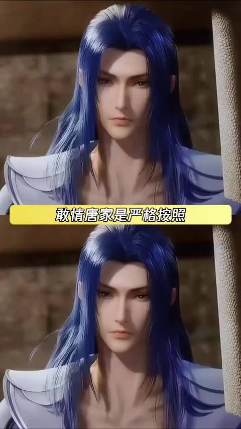 搞半天全靠唐昊那一点人类血脉吊着了 国漫 | 斗罗大陆