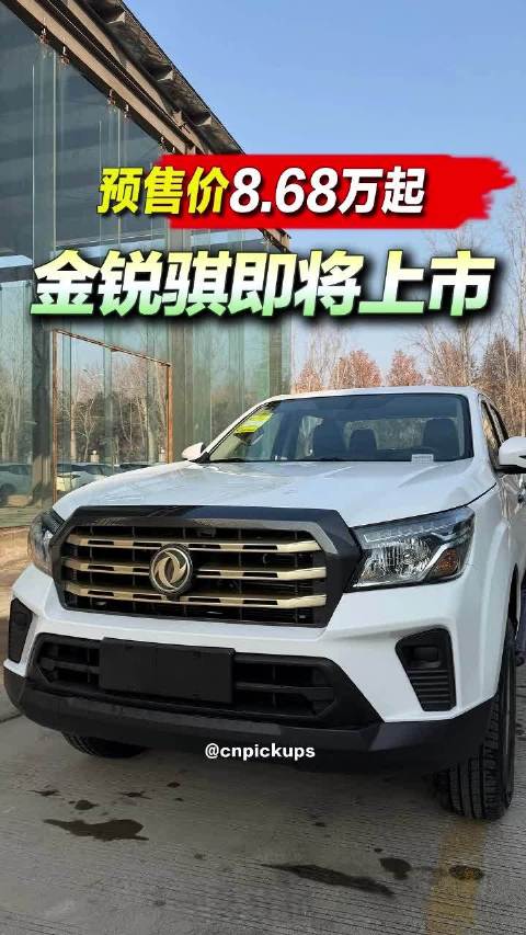 视频：预售价8.68万起！金锐骐即将上市!