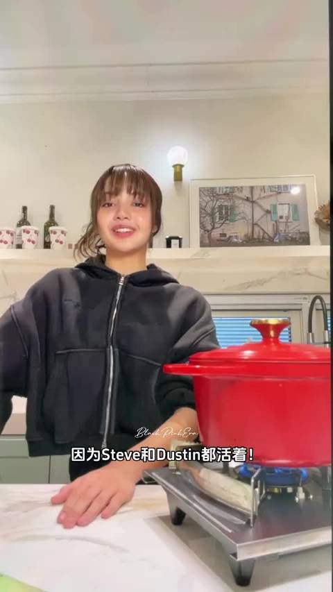 Lisa最喜欢怪奇物语里的Steve和Dustin