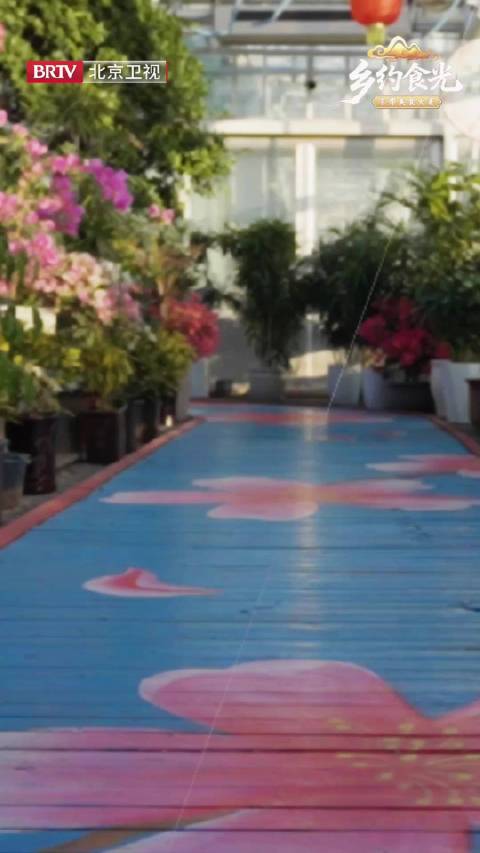 顺义北郎中花木中心花漾走秀上线，众明星手持鲜花亮相