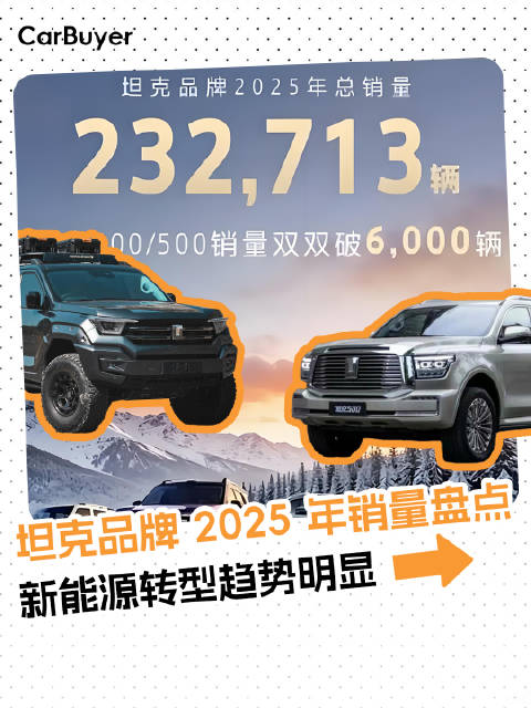 坦克品牌 2025 年销量盘点：新能源转型趋势明显