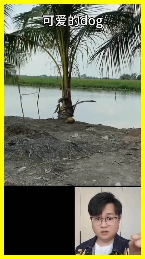 修勾眉毛浓似蜡笔小新，无毛狗顶姑姑脸引众笑