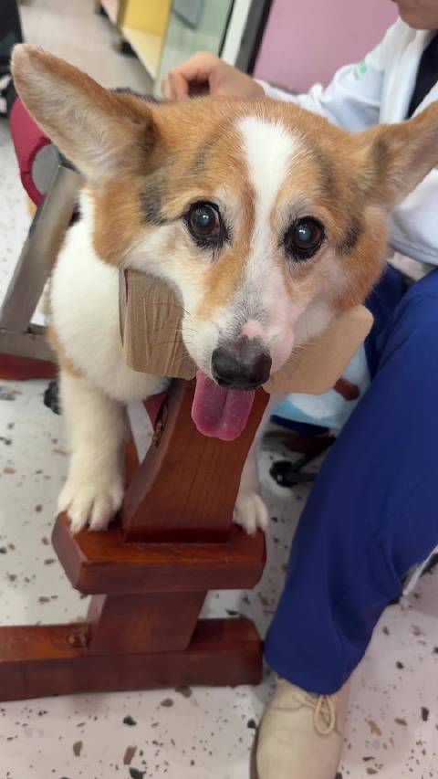 好想你啊臭马可 好想你啊啊啊 从此以后都见不到你了可咋办