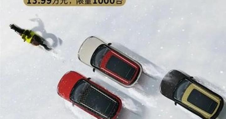 13.99万起 smart马年开运版上市 新年购车新选项