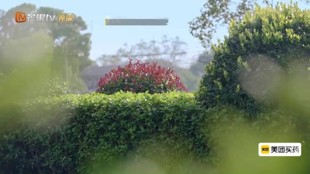 再见爱人5下期返场嘉宾合体读网友辣评