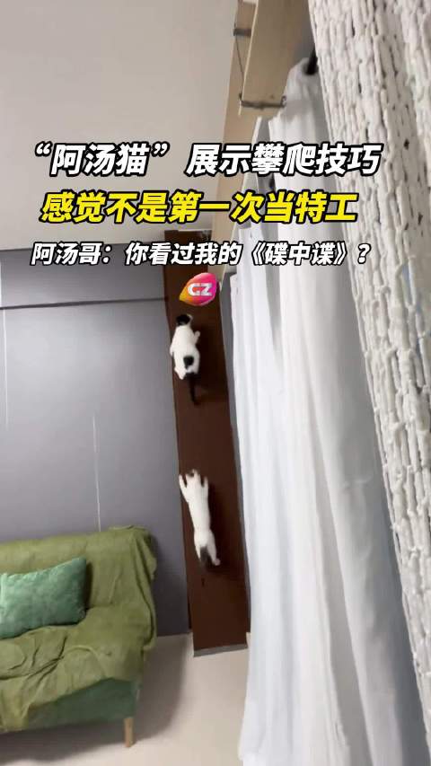 “阿汤猫”展现攀爬技巧，阿汤哥：你看过我的《碟中谍》？