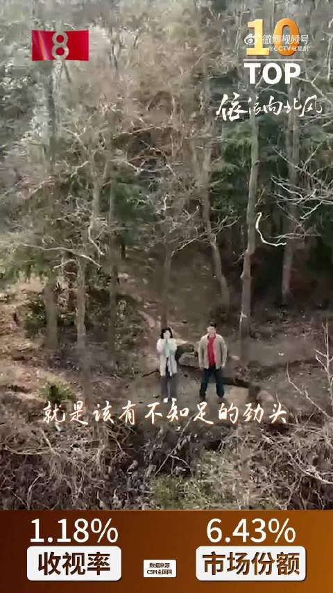 感谢这些好剧陪我们走过2025