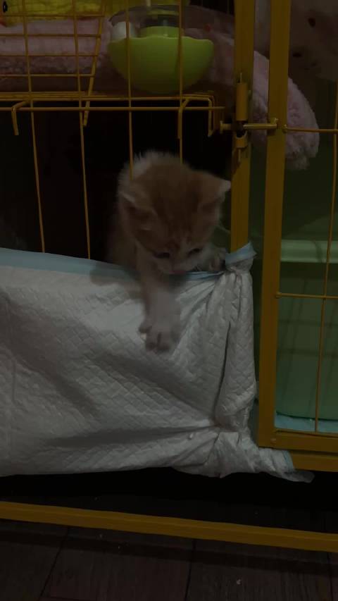 当我面越狱是不