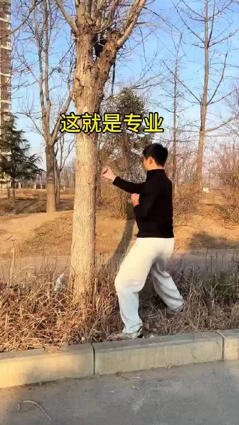 高手在民间，大爷的咏春拳不比叶问逊色！