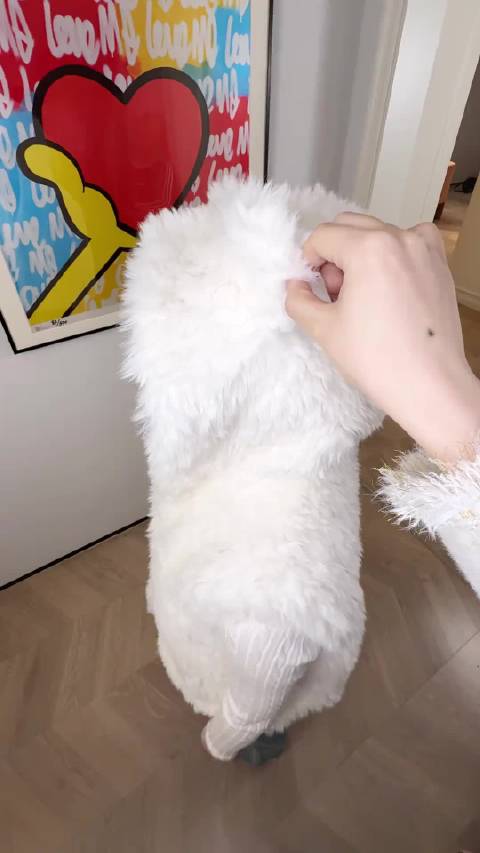 陈妍希晒家饺萌照引网友喜爱