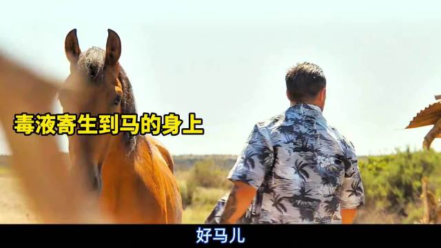 毒液的逃亡之路也太丝滑了！