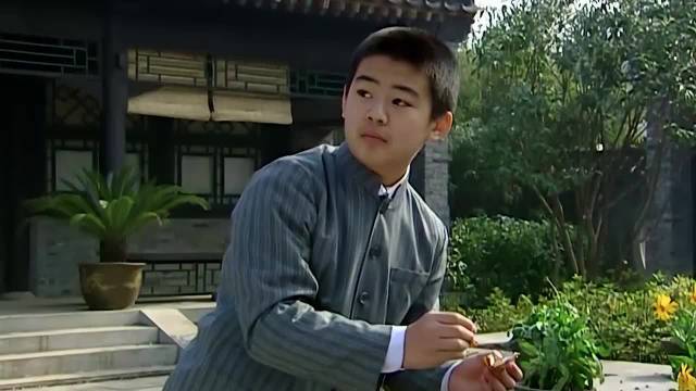 《大宅门》白佳莉致信问候父母杨九红，白景琦欣慰