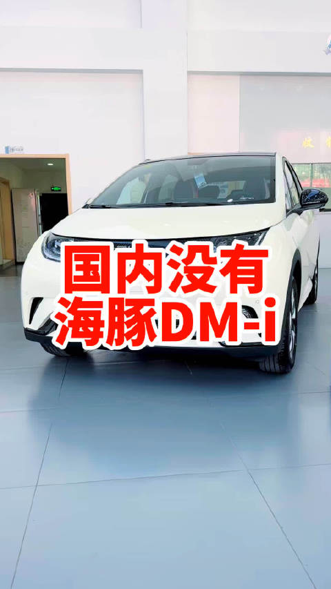 别羡慕了 国内永远不会上海豚DM-i插电混动