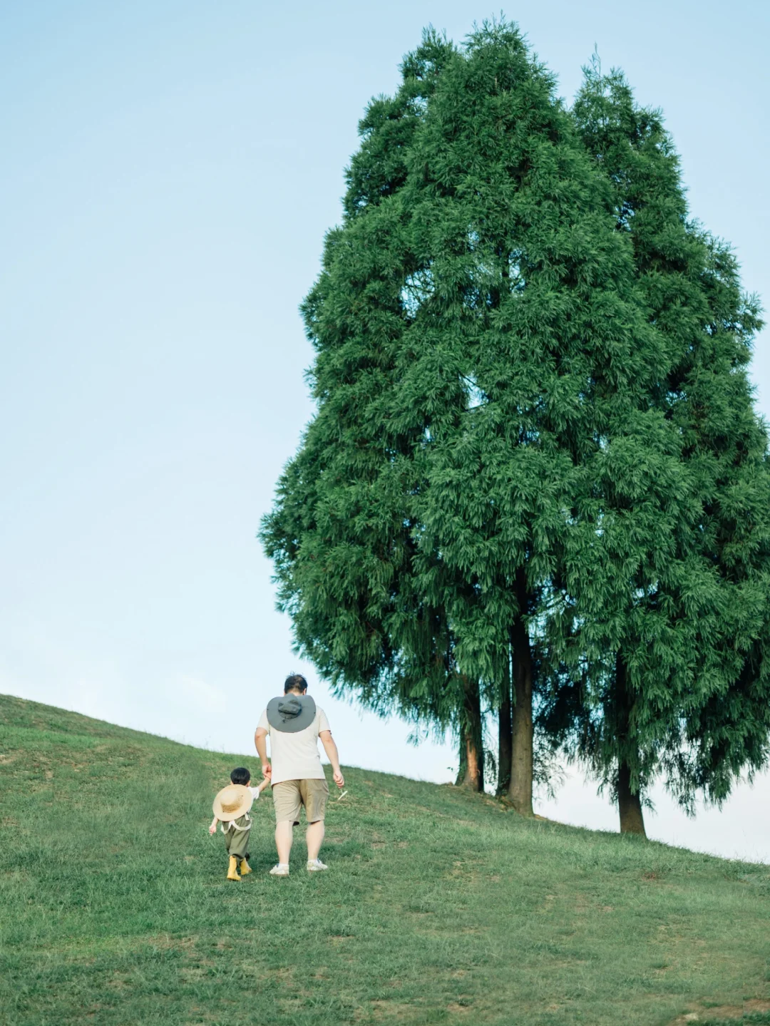 温州2h直达！藏在浙南的避暑秘境，萤火虫、牧场、古村全齐了！