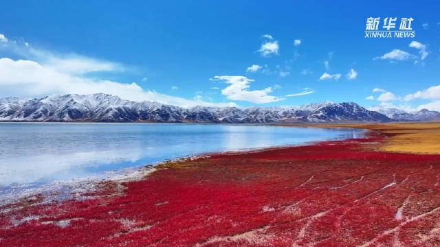 冬日的冬格措纳湖美出梦幻感
