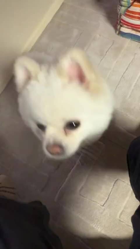 嗯哼绵绵你有什么想说的吗