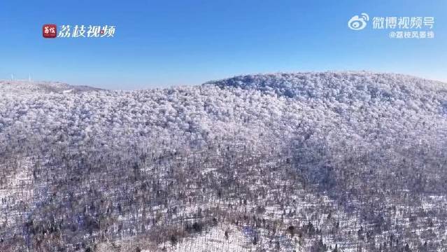 哈尔滨雾凇成景冰晶漫舞，刘宇宁献声共赏冰雪盛宴