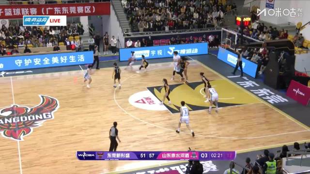 张子宇替补高效砍10分，山东力克东莞