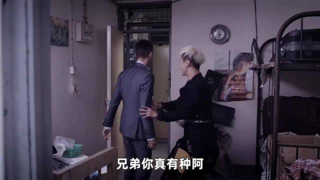 经典都市犯罪剧《扫毒》张家辉，古天乐经典港片 主演：古天乐 张家辉 刘青云