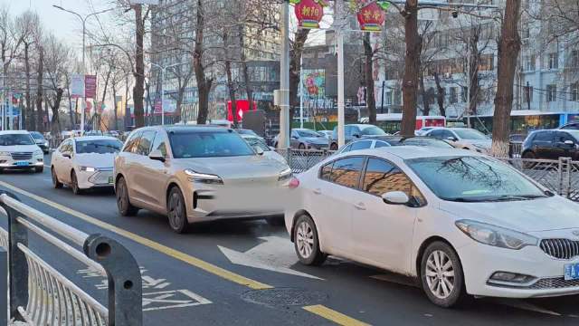 网友质疑8000元选装乐道L90云曦金色显陈旧