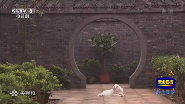 《大宅门》：香秀、七爷初相见，七爷就被她吸引，对她一见倾心.