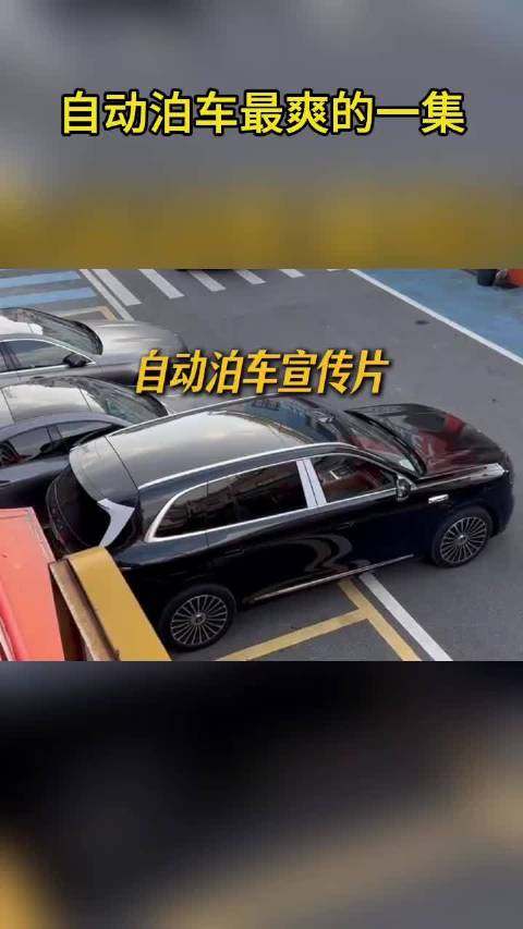 自动泊车最爽的一集！