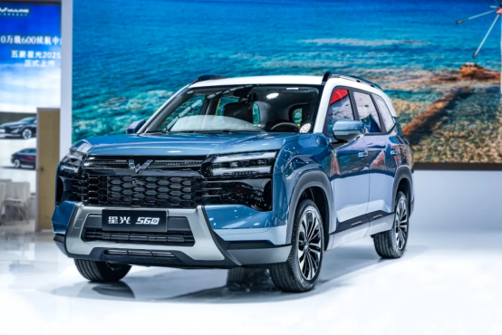 一车三吃，星光560动力解读，燃油、插混、纯电哪款更实用？