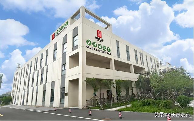 长白山人参”品牌产品已达18个系列近400款。长白山人参/供图