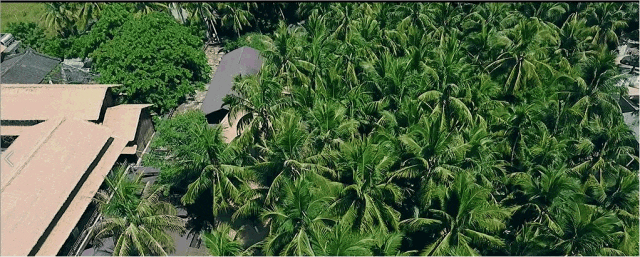 海南陵水10大必玩景点，绝美的海滨风光，小众而悠闲|海南省|摄图网|陵水黎族自治县|椰田古寨|土福湾_新浪新闻