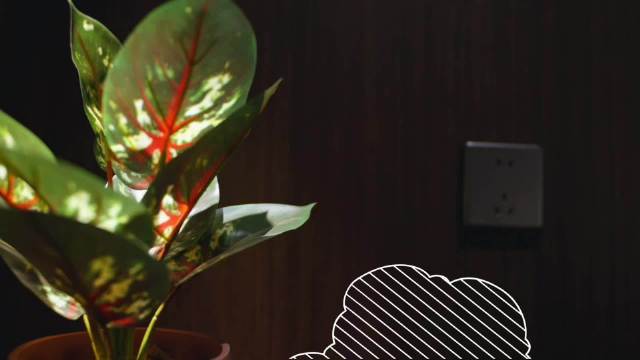 王勉Norah演绎失眠众生相，智能健康空间解睡眠难题