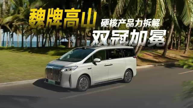 魏牌高山双冠制胜，精准契合家用MPV需求