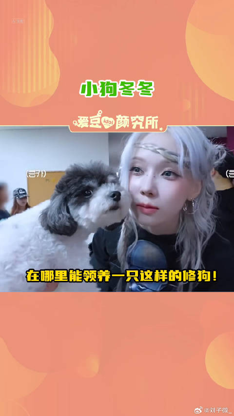 养不到小狗冬冬人生还有什么意思！金玟庭